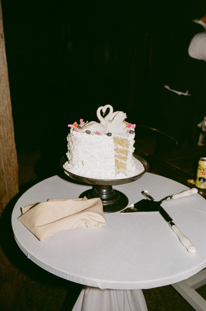 35 mm film of Madison and Trevor's wedding